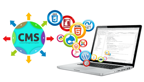Shizi Softwares web designing